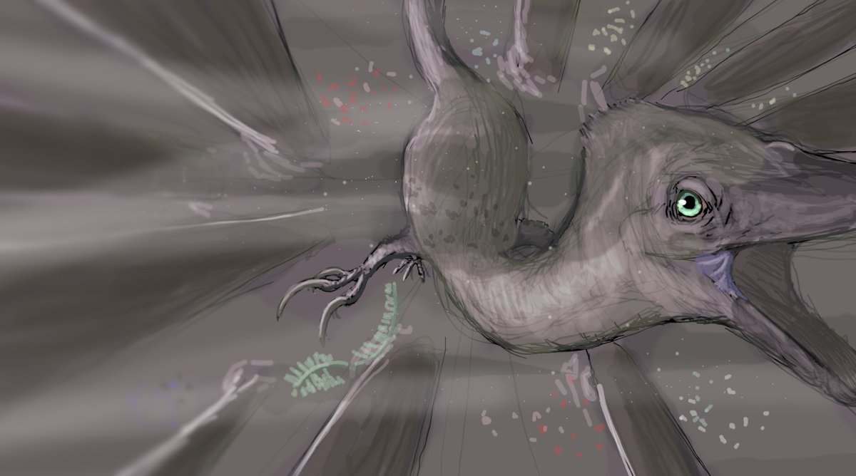 Shunovachrono on Twitter