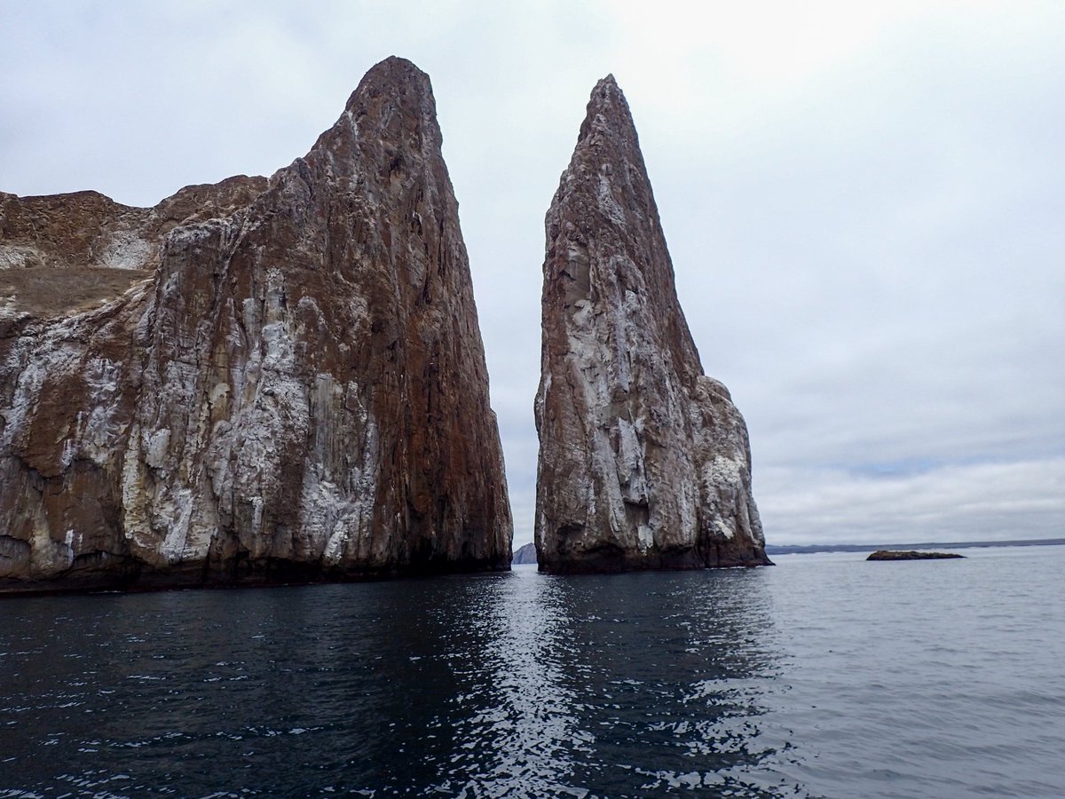 UncleBBO's tweet photo. @PADI https://t.co/QdxuSGOazQ