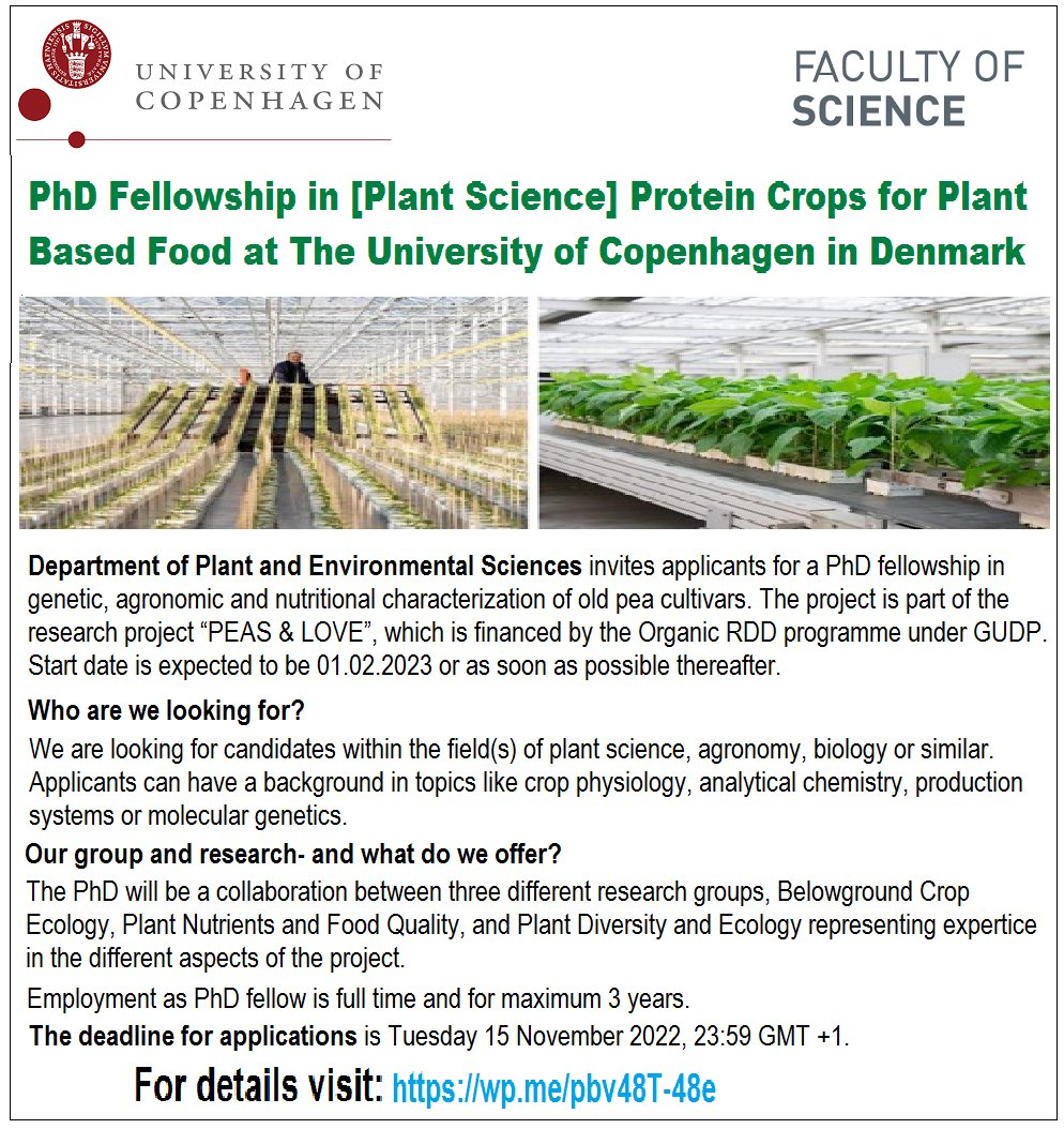 agristok's tweet photo. 📌 PhD Fellowship in [Plant Science🌱] Protein Crops for Plant Based Food at The University of Copenhagen in Denmark 🇩🇰... Please Retweet and spread the word! For details visit the link below👉 https://t.co/lYwZQcKPXr https://t.co/VrJ6j2YqRq