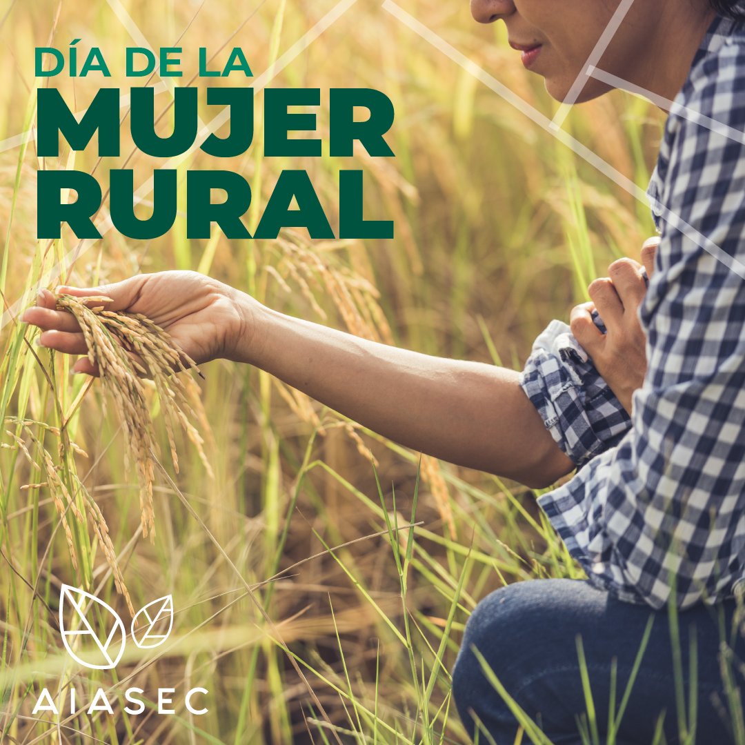 aiasec's tweet photo. Feliz día de la mujer rural 👩‍🌾
#díadelamujerrural 

AIASEC

#ingenieroagronomo #campoargentino #campo #trabajorrural #mujer #Cultivo https://t.co/WtlSbpj3JZ