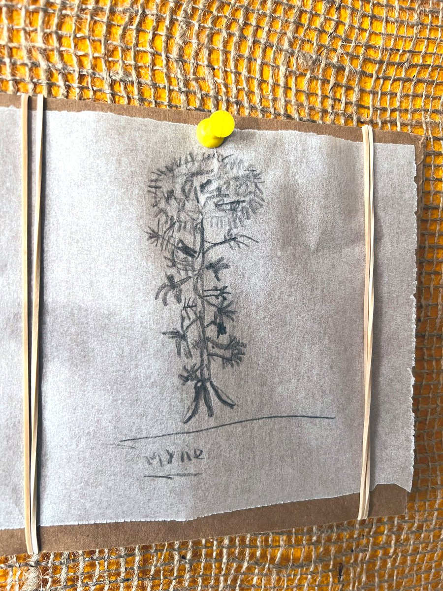 HinderYYC's tweet photo. Who is in our community?
Grade 3/4 learners spent time looking closely at the four tamarack friends in our school yard. Some even realized that sap adds interesting detail to shape our perspective. #getoutside #artsbasedlearning https://t.co/J0g7fh4ilj
