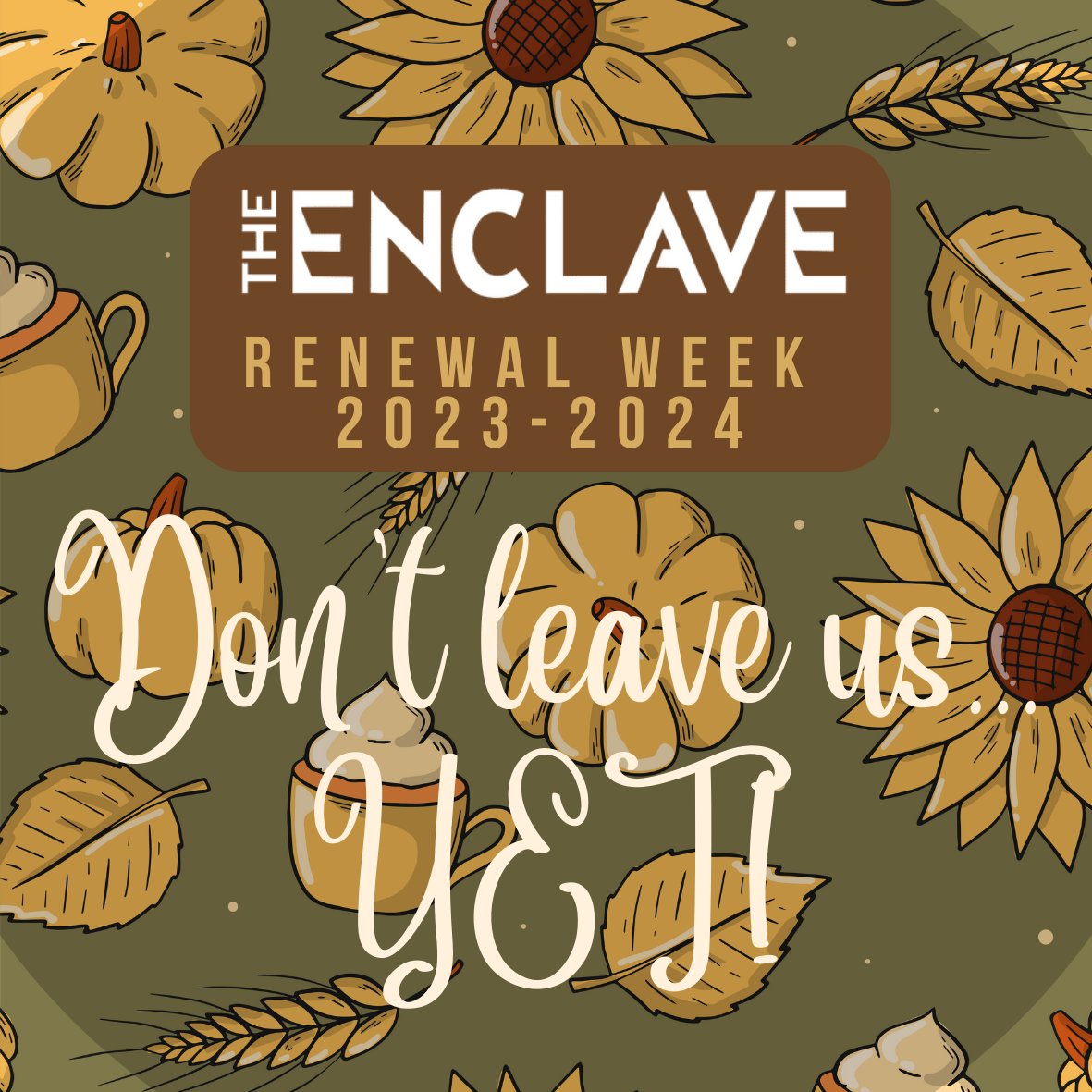 CURRENT RESIDENTS!!! Our renewal week will begin Tuesday, October 18th - Wednesday, October 26th! Be sure to check your renewal letters and stop down next week to guarantee your bedspace! #FALL2023 #RENEW🍂🍃🍁