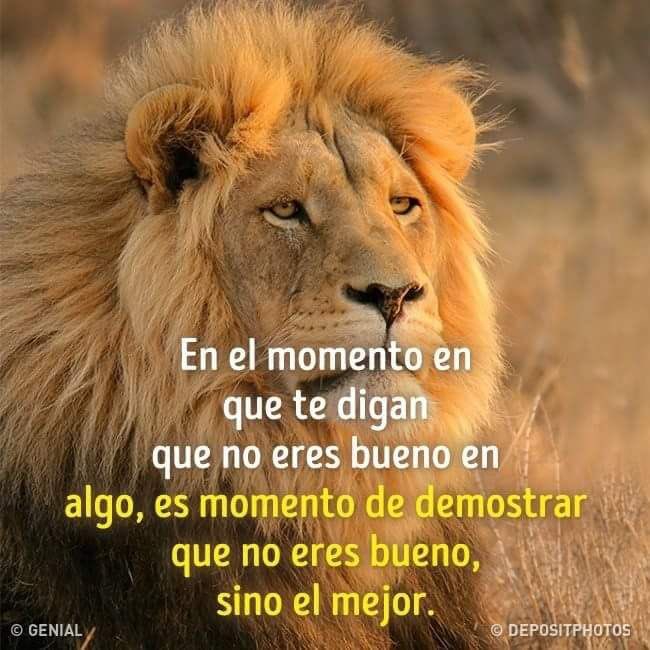 MANADADELEONXS's tweet photo. Consejo del día ✨💜🦁
#SOYLEON 🦁#LEONXS #CESIASAENZ 
✨✨✨💜X TI YA NO ✨✨✨💜 https://t.co/13giW2MmQ9
