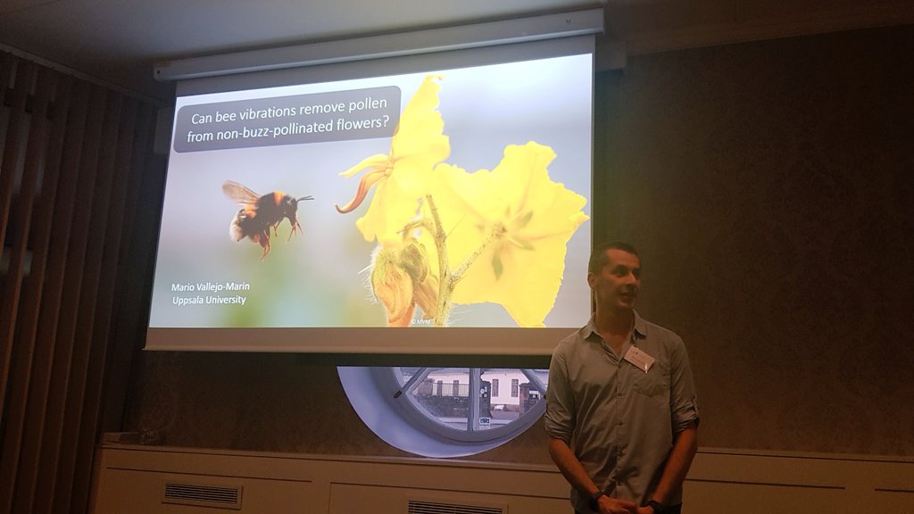 SCAPE_Poll_Ecol's tweet photo. Do bee vibrations also work on normal flowers? @nicrodemo will answer this question soon at the afternoon session of #SCAPE2022 https://t.co/pyP5QTB8C4