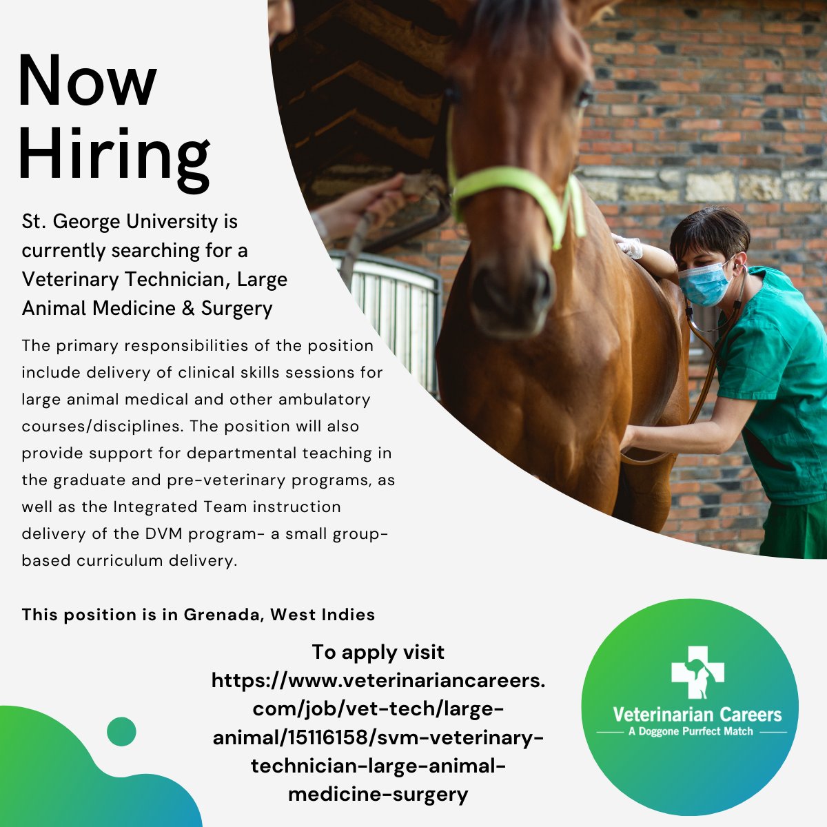 St. George University is currently searching for a Veterinary Technician, Large Animal Medicine &amp; Surgery. The position is located in Grenada, West Indies.   Interested applicants can apply here:

 veterinariancareers.com/job/vet-tech/l…
