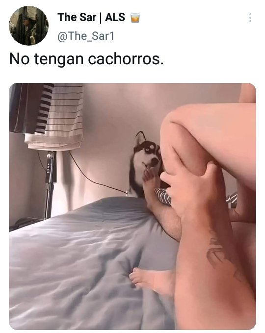 TinaZimermann's tweet photo. @The_Sar1 Muy bien que para esto no necesitás gym 😂 https://t.co/NoCR25YMoJ