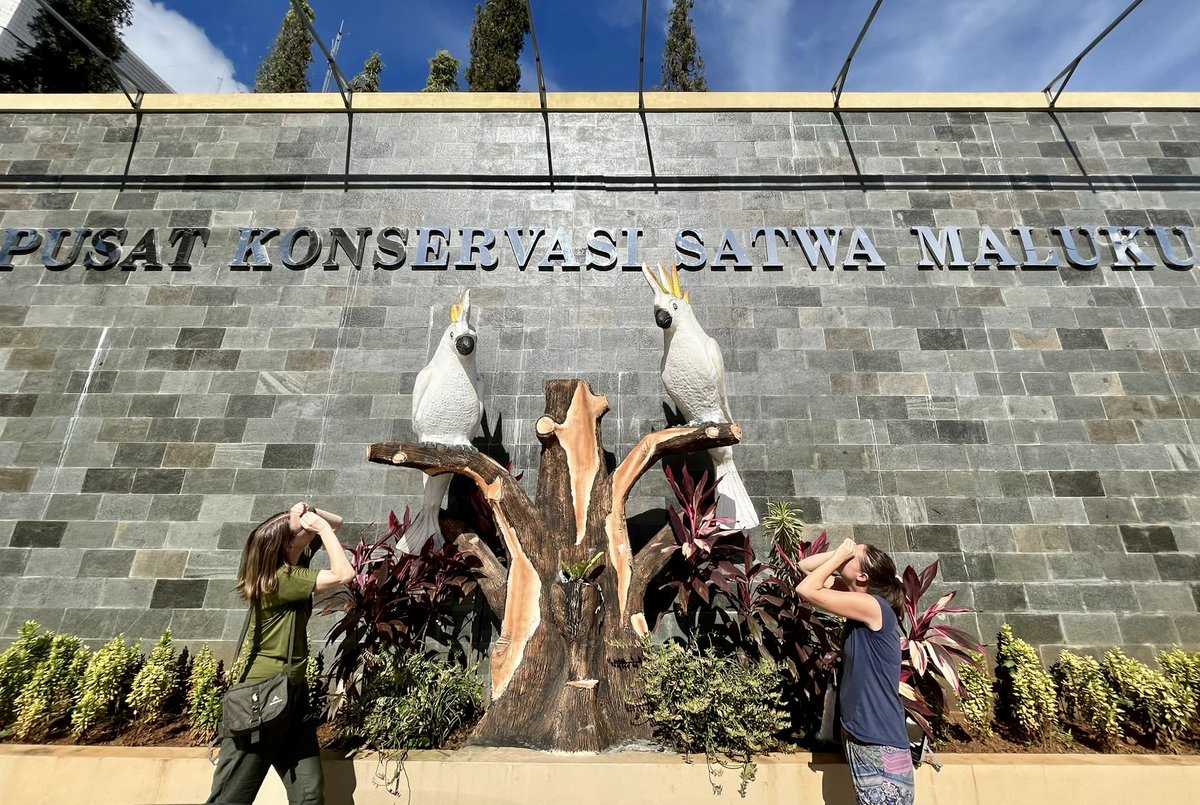 Goffin Lab Tanimbar tweet media