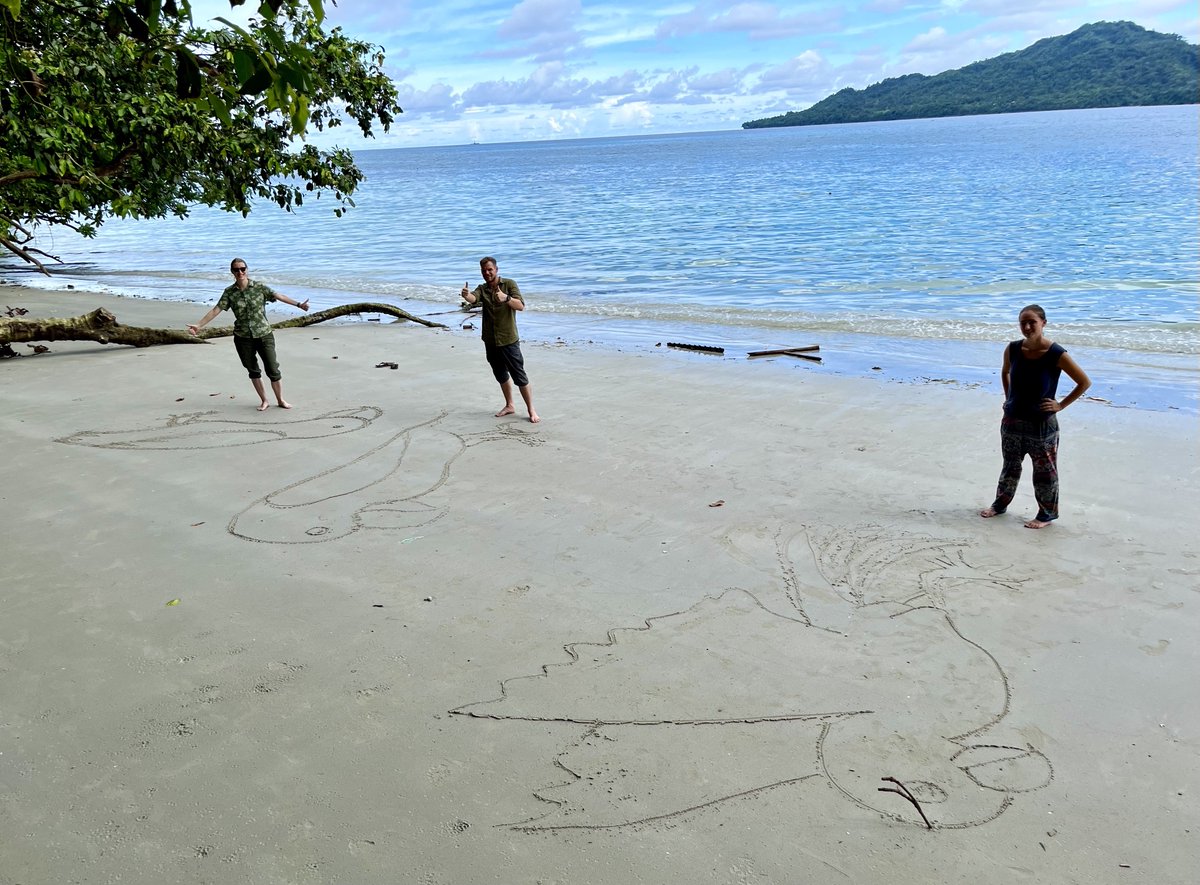 Goffin Lab Tanimbar (@tanimbarlab) on Twitter photo Back in #Maluku! ποΈ Currently in #Ambon, visiting the The Natural Resources Conservation Agency (<a href="/bksda_maluku/">BKSDA Maluku</a>) and meeting colleagues from the #Pattimura University π¨βπ» Team activity: a cockatoo sand drawing competition at #Natsepa Beach π©βπ¨
#islandhopping #AmbonManis #beachart Back in #Maluku! ποΈ Currently in #Ambon, visiting the The Natural Resources Conservation Agency (<a href="/bksda_maluku/">BKSDA Maluku</a>) and meeting colleagues from the #Pattimura University π¨βπ» Team activity: a cockatoo sand drawing competition at #Natsepa Beach π©βπ¨
#islandhopping #AmbonManis #beachart