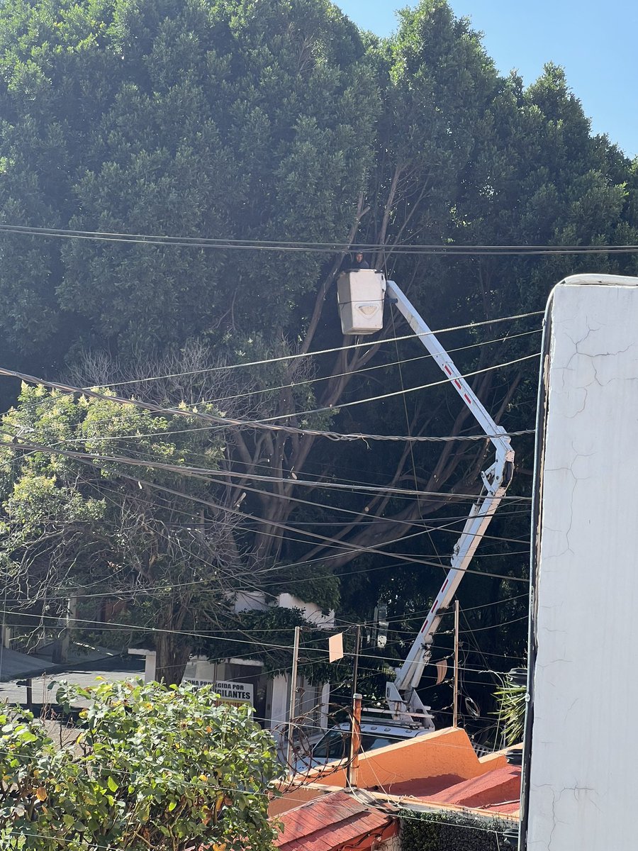 dizoma's tweet photo. ASESINOS DE LA NATURALEZA!!!!!
@Res_Boulevares  como lo permiten????? Recuerdo hace años caminar entre árboles y sin más están terminando con todo eso. @SoyNaucalpan como es posible que firmen un permiso para esto. @Naucalneto  @AmbienteEdomex https://t.co/Qr3F5bikwJ