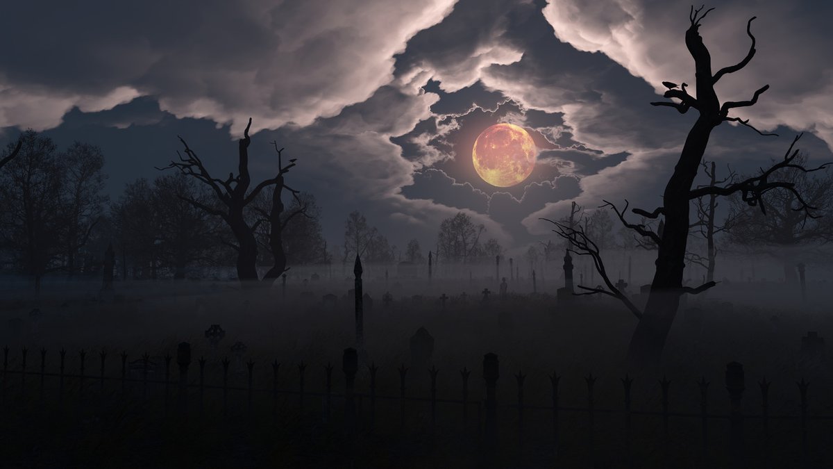 Ryan Bliss (𝐷𝑖𝑔𝑖𝑡𝑎𝑙 𝐵𝑙𝑎𝑠𝑝ℎ𝑒𝑚𝑦) tweet media