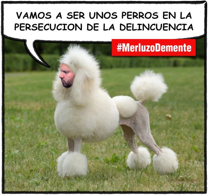 FfHy3S-X0AEZPC3?format=jpg&name=small