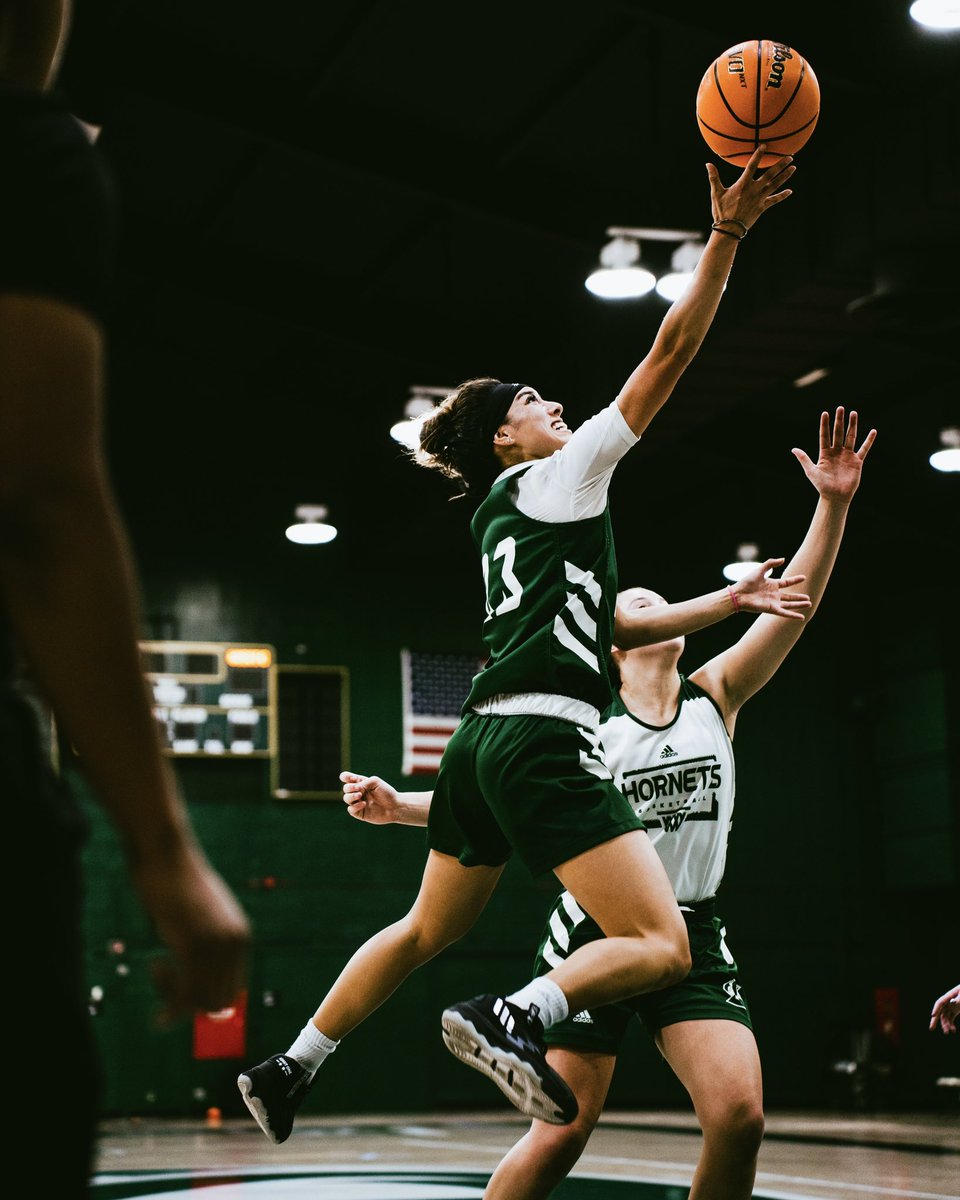 SacStateWBB's tweet photo. SEASON LOADING . . . ⏳

𝙁𝙄𝙂𝙃𝙏 • 𝘾𝙊𝙈𝙋𝙀𝙏𝙀 • 𝙂𝙍𝙄𝙉𝘿

#GoHornets  🐝  #StingersUp https://t.co/sHhnHgTIBh