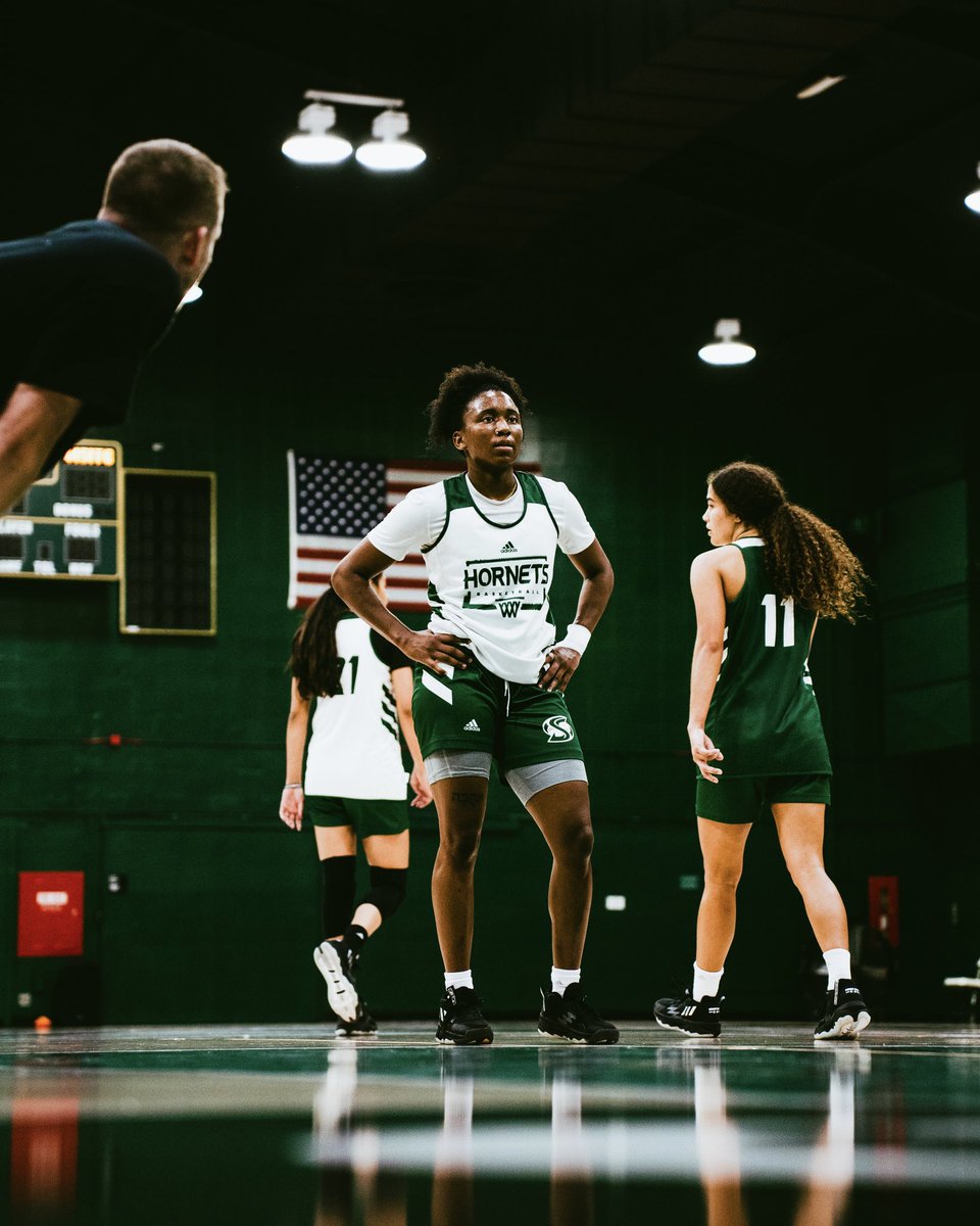 SacStateWBB's tweet photo. SEASON LOADING . . . ⏳

𝙁𝙄𝙂𝙃𝙏 • 𝘾𝙊𝙈𝙋𝙀𝙏𝙀 • 𝙂𝙍𝙄𝙉𝘿

#GoHornets  🐝  #StingersUp https://t.co/sHhnHgTIBh