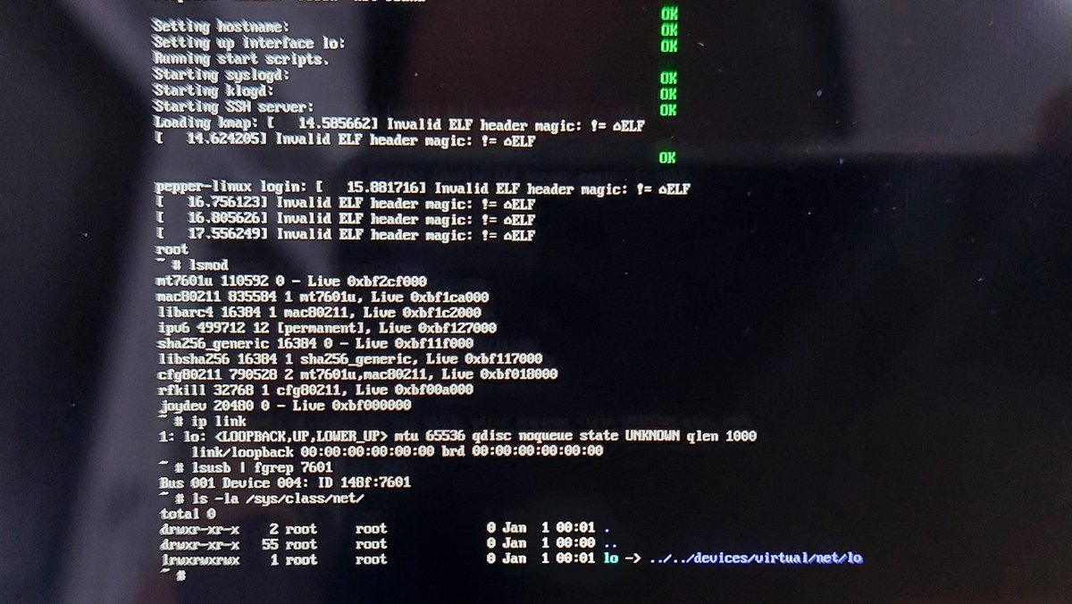 tiagoapimenta's tweet photo. Even though the module was successfully loaded, the adapter was not created, am I supposed to create it with ip link new? Or may it be related to the Elf header bug? https://t.co/mBcnTXubMc