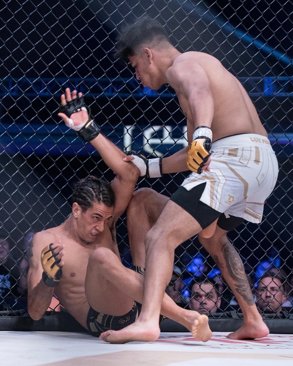 luxfightleague's tweet photo. La prueba más dura de una carrera que sigue en ascenso 📈 @anuariux #LUX027

#luxfightleague #mmamexico #pueblamexico https://t.co/XqJ7ocj3ow