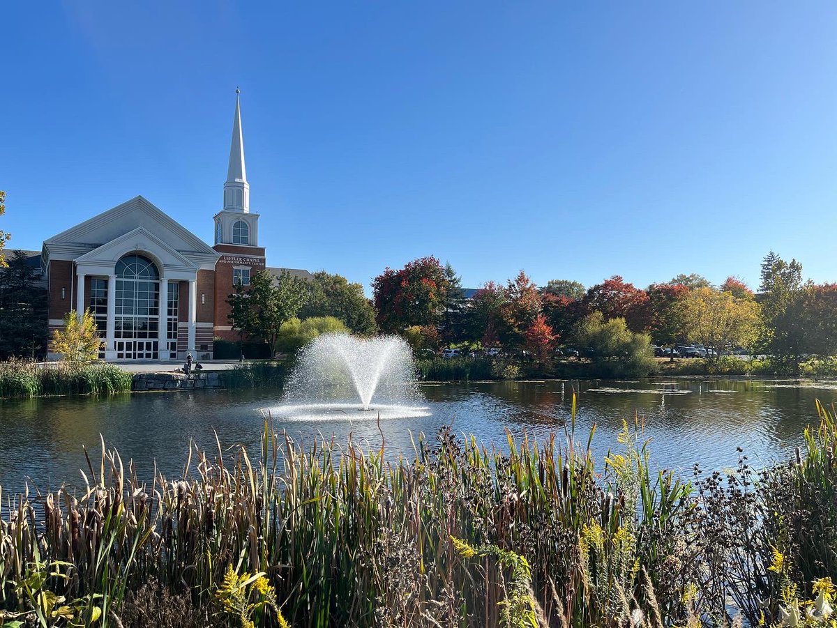 Modern Languages tweet media