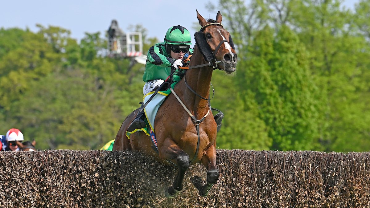 Racing TV (@racingtv) on Twitter photo The fairy tale continues! 
£800 buy Hewick conquers the US with commanding victory in the $250,000 American Grand National at Far Hills. 
Many congrats, <a href="/jhanlonracing/">Shark Hanlon Racing</a> 👏 The fairy tale continues! 
£800 buy Hewick conquers the US with commanding victory in the $250,000 American Grand National at Far Hills. 
Many congrats, <a href="/jhanlonracing/">Shark Hanlon Racing</a> 👏