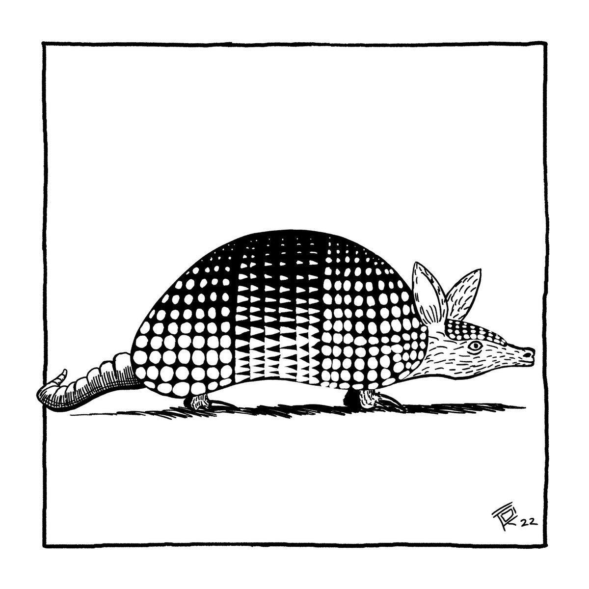 Day 15 - Armadillo
#inktober #inktober2022