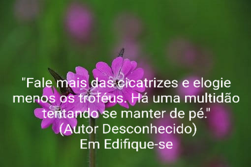 eliselorena's tweet photo. Devemos observar se  pode gerar fortalecimento e empatia, porque alguém está tentando sair do poço e em determinados momentos o excesso de exaltação do outro pode fazer com que ela afunde.
Releitura de #Edifique_se
#Novidades
#Edifique_se
Sergio Carlos da Silveira https://t.co/tOgWWYosCY