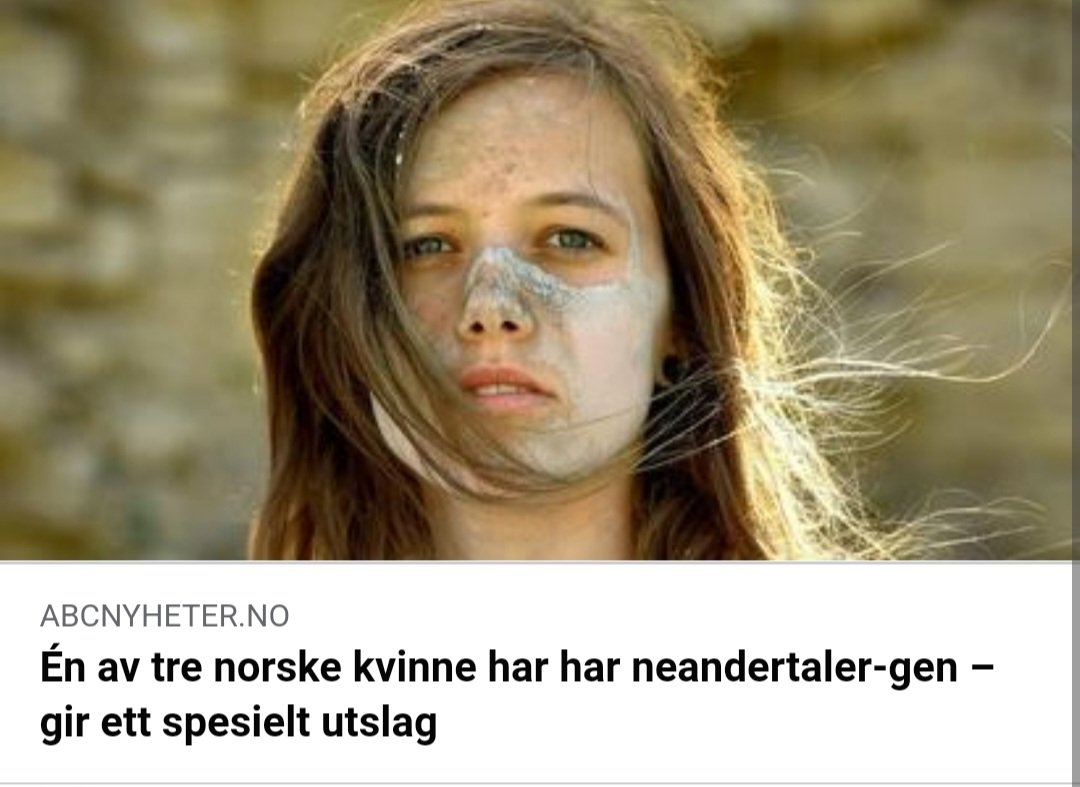 Stein Olav Hjelseth tweet media