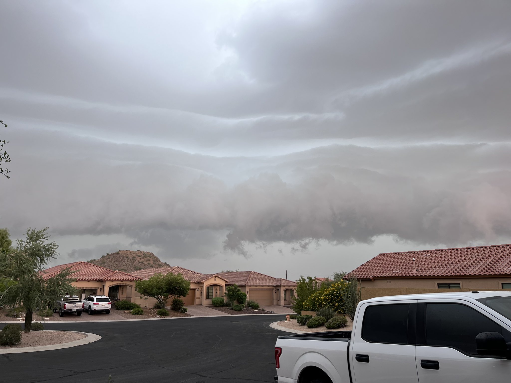 Nws Phoenix - 769z24o
