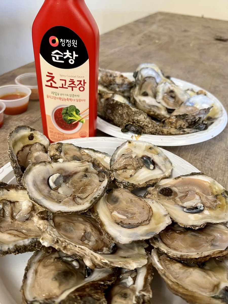 Virginia_Delish's tweet photo. Oysters and mini donuts on! #StMarysMD #VisitMD #OysterFestival #NationalOysterShuckingChampionship https://t.co/PJ5rE2ziTp
