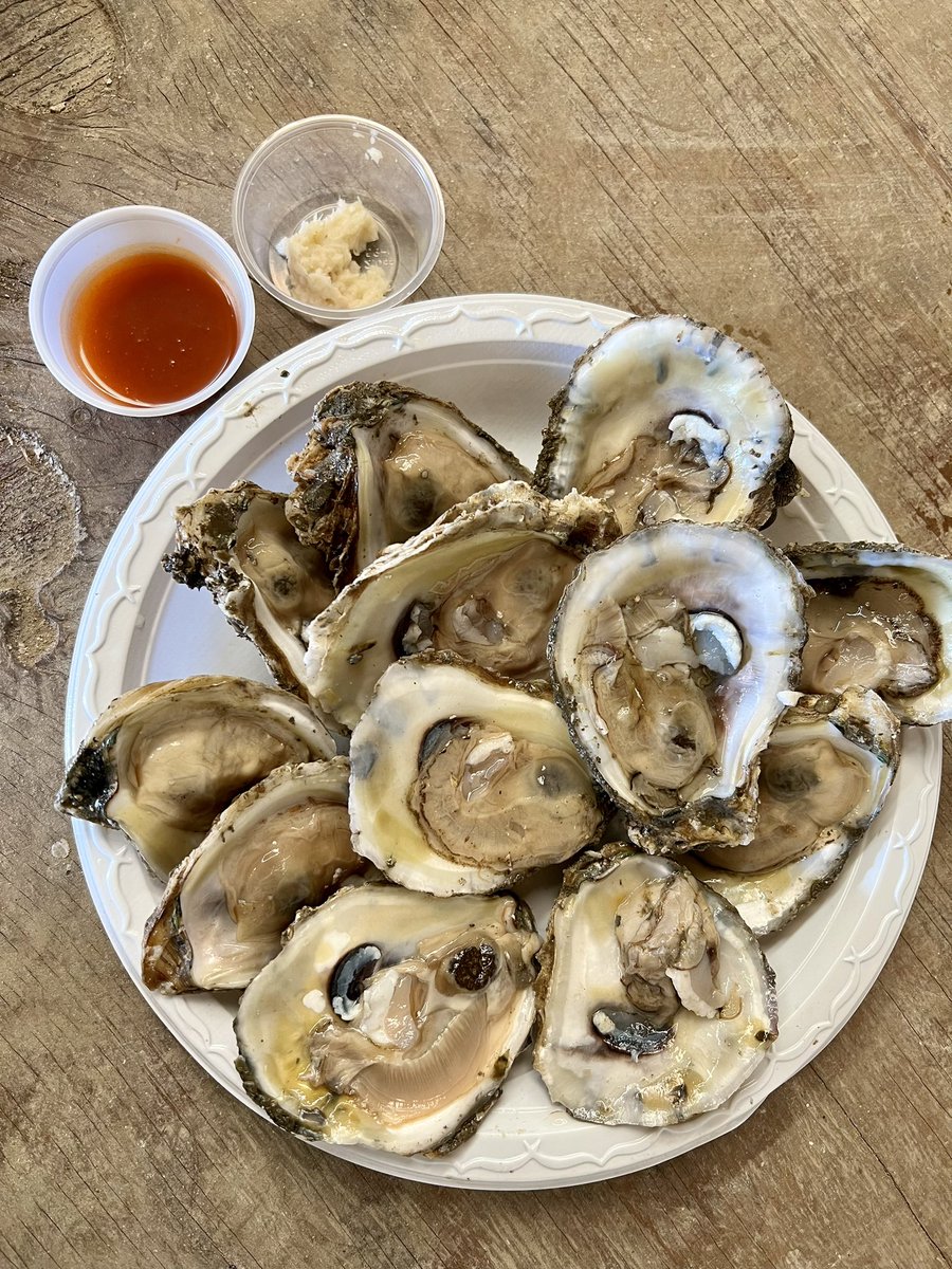 Virginia_Delish's tweet photo. Oysters and mini donuts on! #StMarysMD #VisitMD #OysterFestival #NationalOysterShuckingChampionship https://t.co/PJ5rE2ziTp