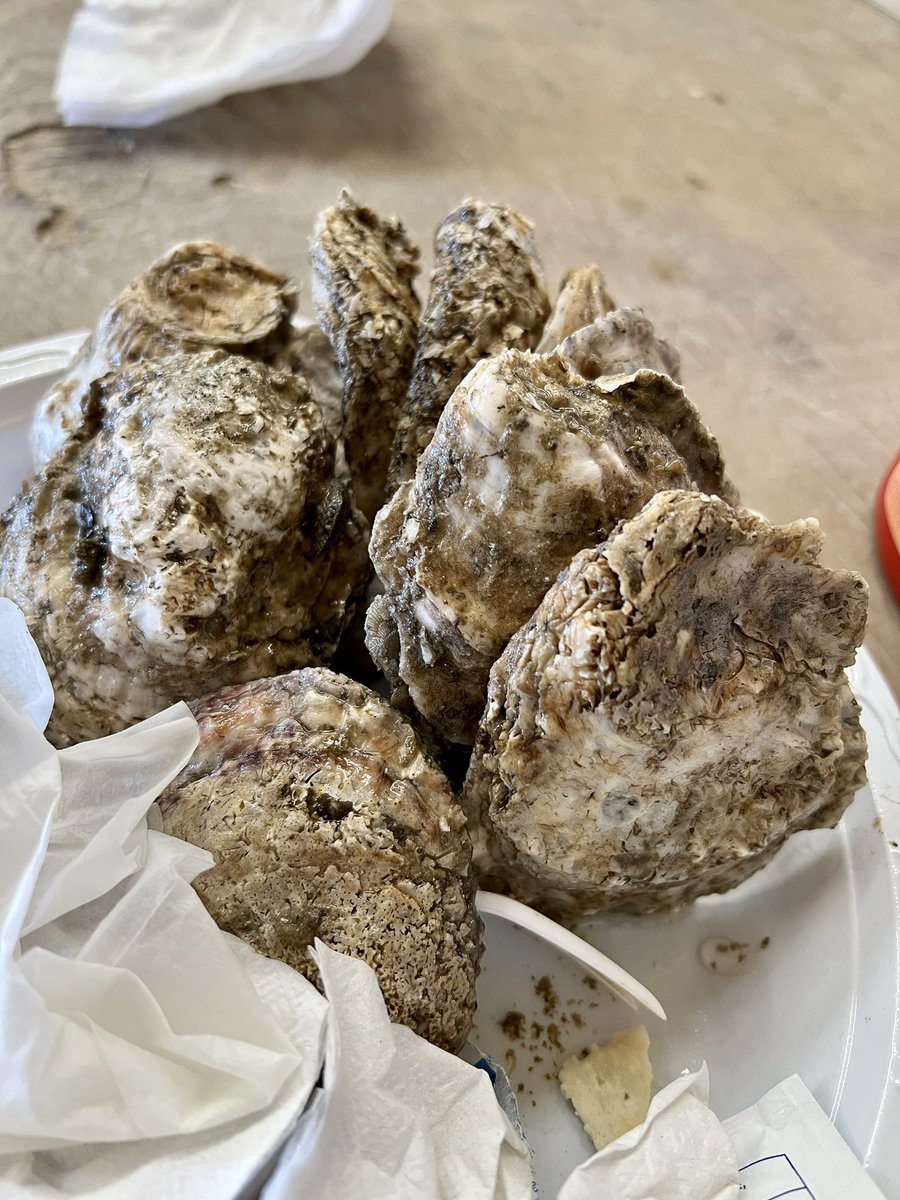 Virginia_Delish's tweet photo. Oysters and mini donuts on! #StMarysMD #VisitMD #OysterFestival #NationalOysterShuckingChampionship https://t.co/PJ5rE2ziTp