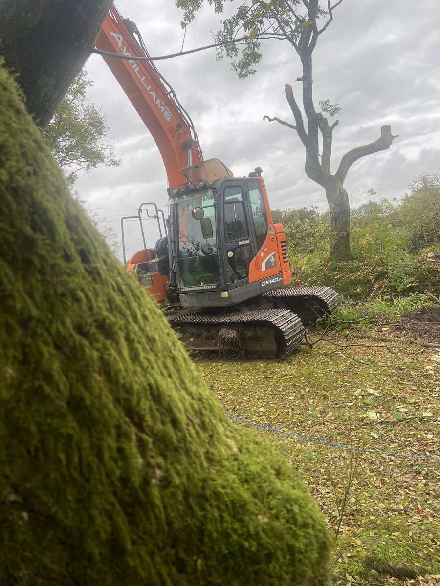 einion_williams's tweet photo. Past few weeks of work catching up on tree shearing and ditching🤙🏻 https://t.co/WrY1CsHqU2