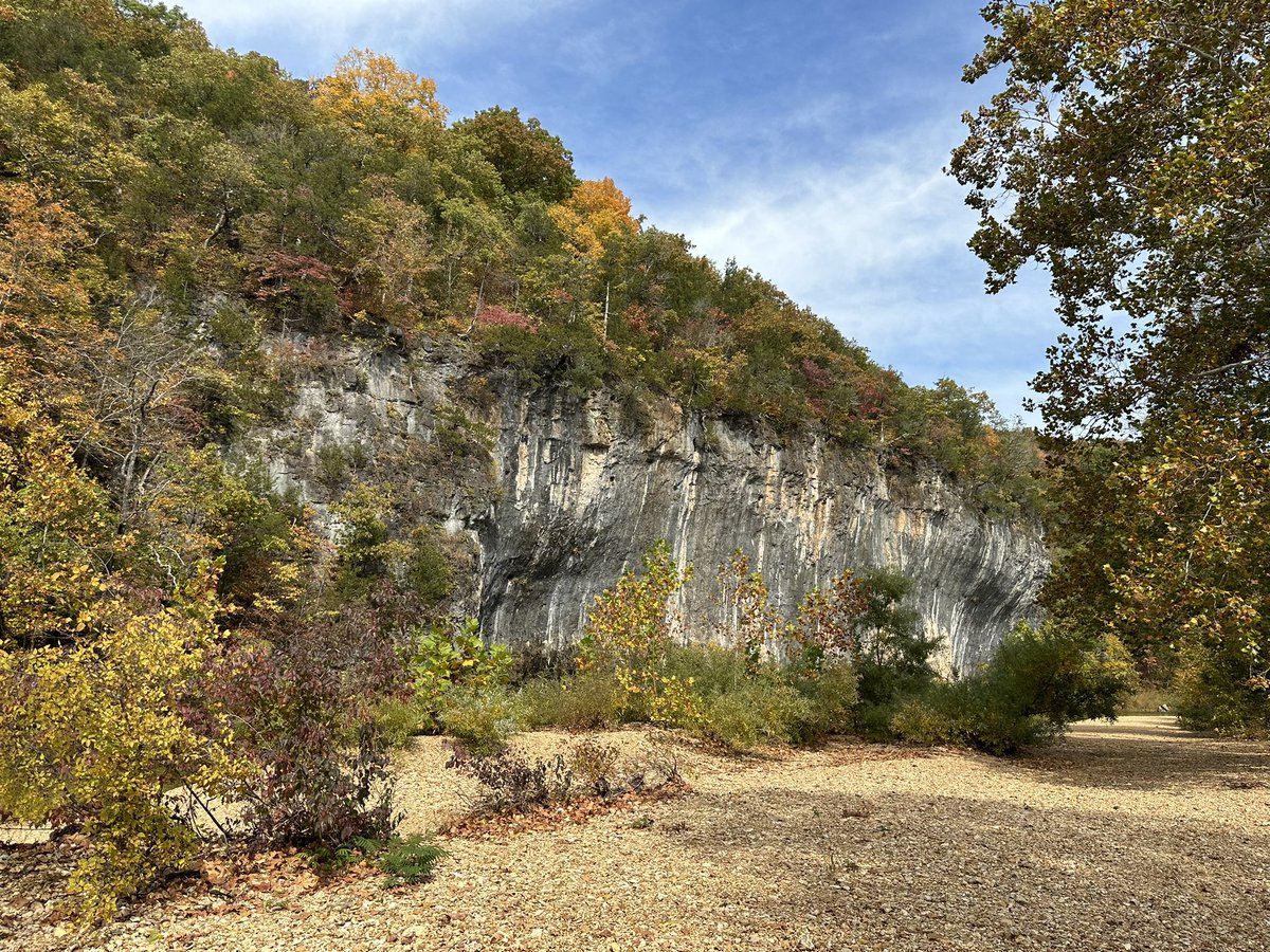 TeresaParson2's tweet photo. We were able to take a few days off to enjoy the outdoors, our anniversary and time with friends. 
Thank you  Echo Bluff State Park for a fantastic few days!!  #MissouriProud https://t.co/huhsFoAyVo