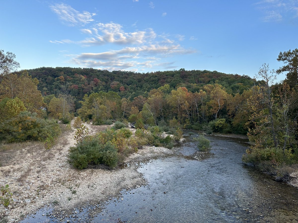 TeresaParson2's tweet photo. We were able to take a few days off to enjoy the outdoors, our anniversary and time with friends. 
Thank you  Echo Bluff State Park for a fantastic few days!!  #MissouriProud https://t.co/huhsFoAyVo