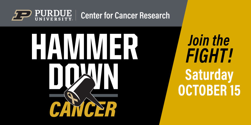 The @PUCancerCenter translates ideas into innovative technology & therapeutics that improve lives. With multiple drugs in pipelines, hundreds of patents & many active clinical trials, @LifeAtPurdue is hammering down cancer. Learn more about the PCCR: bit.ly/3SkaIjf