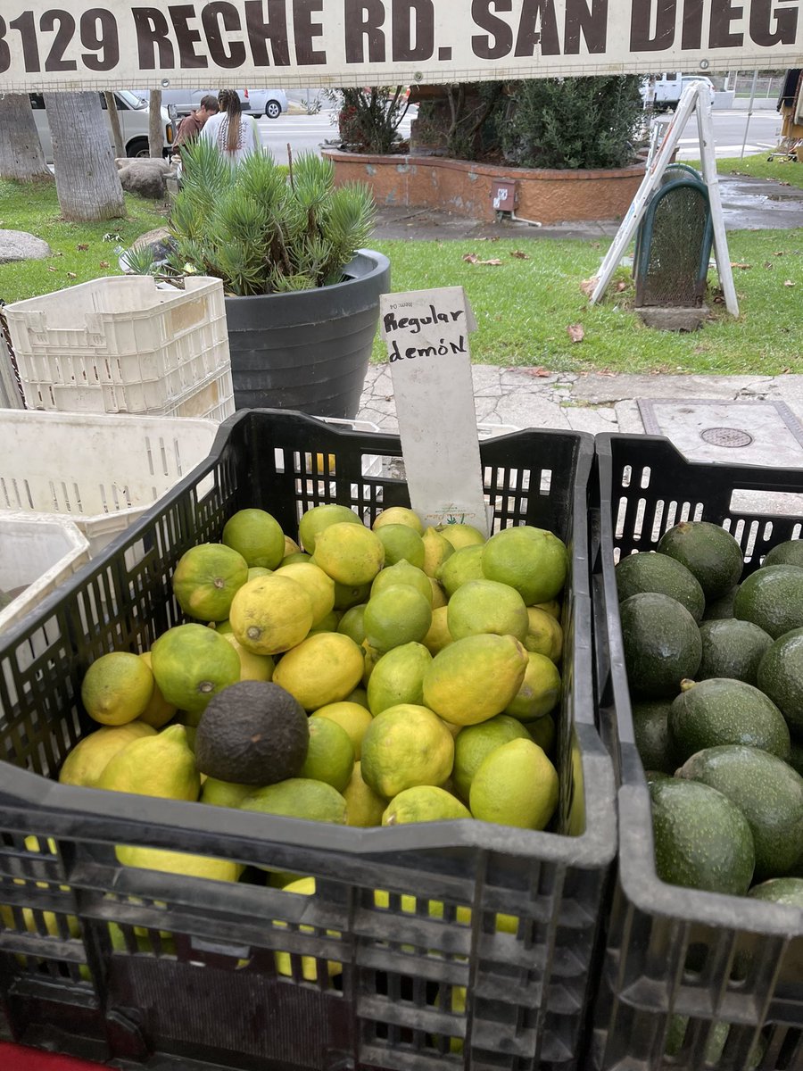 Gregory Yee 余國光 tweet media