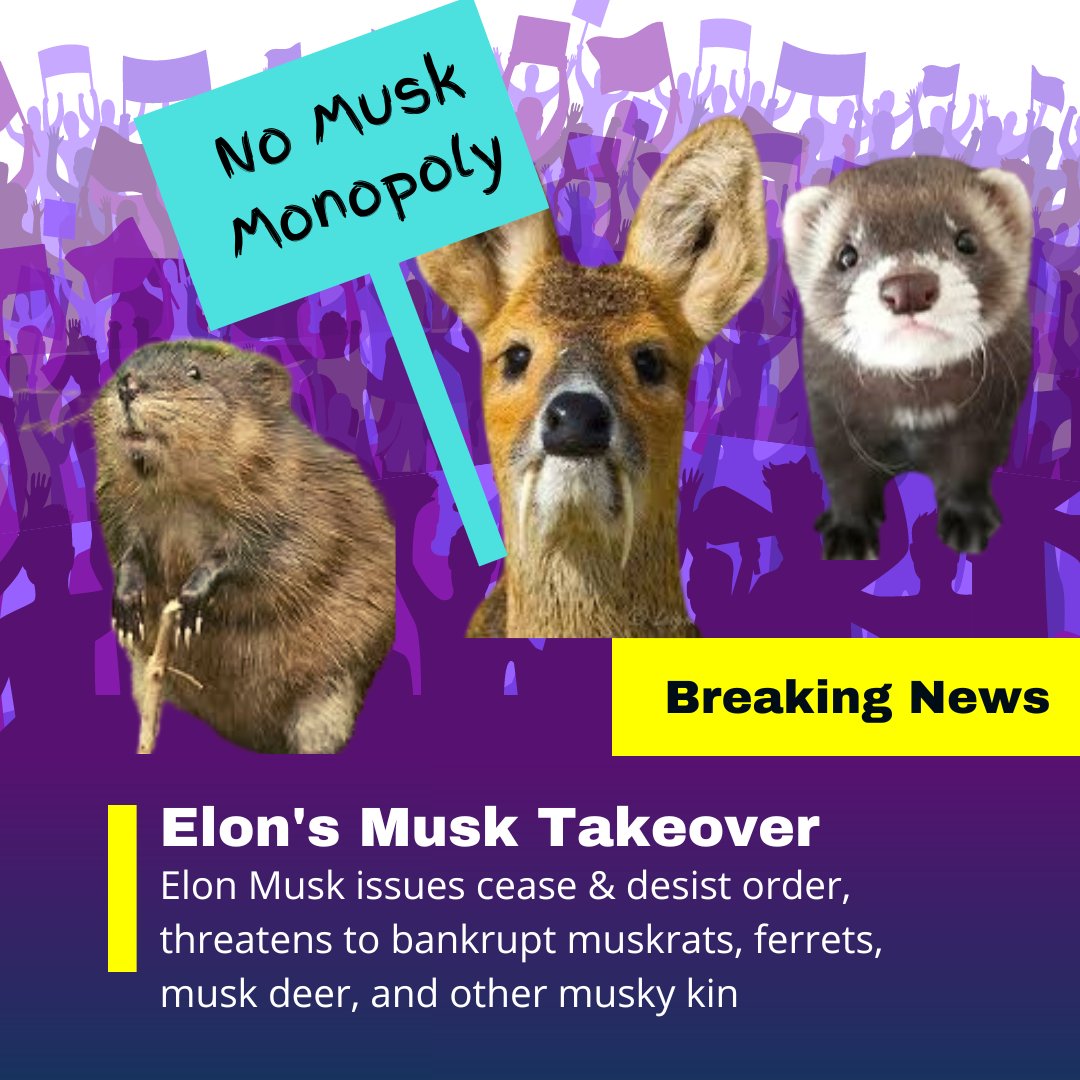 PillJoyShop's tweet photo. @elonmusk https://t.co/Cpw0N3G6uV