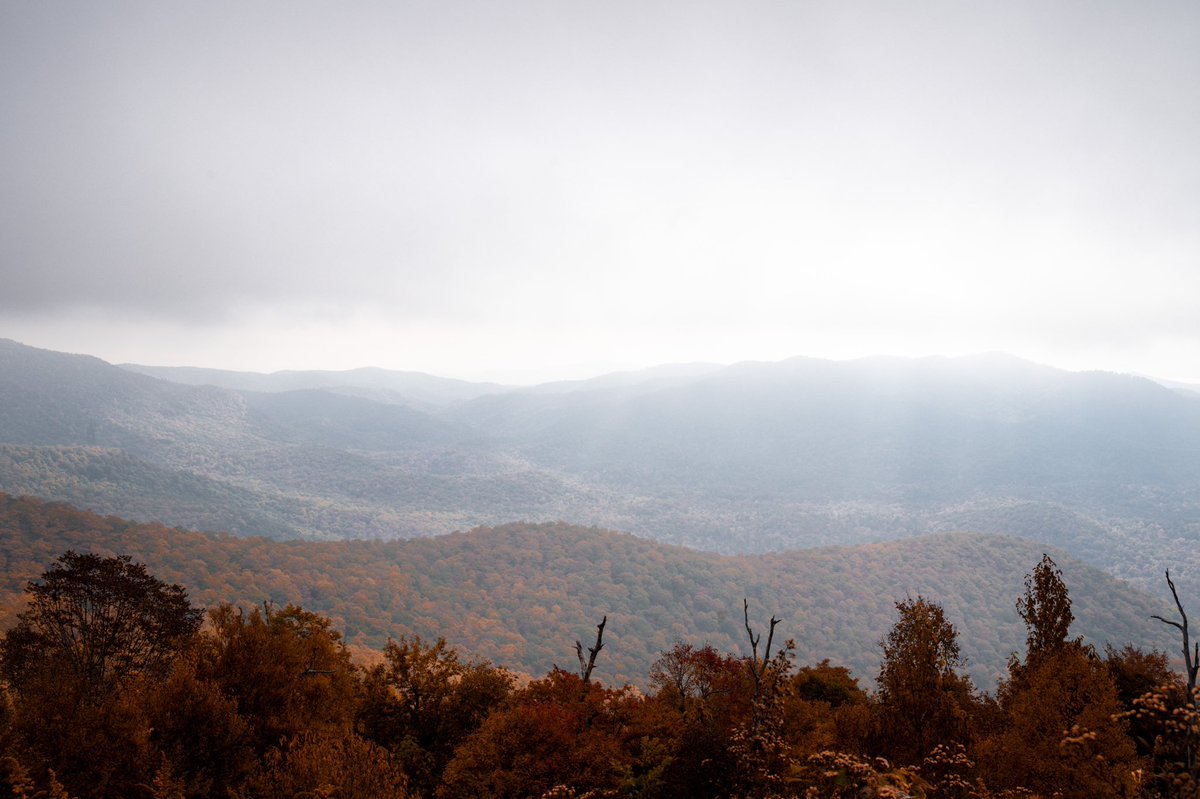 amberoutthere's tweet photo. Foggy morning in the blue ridge mountains ⛰ https://t.co/vuF8fao3TA
