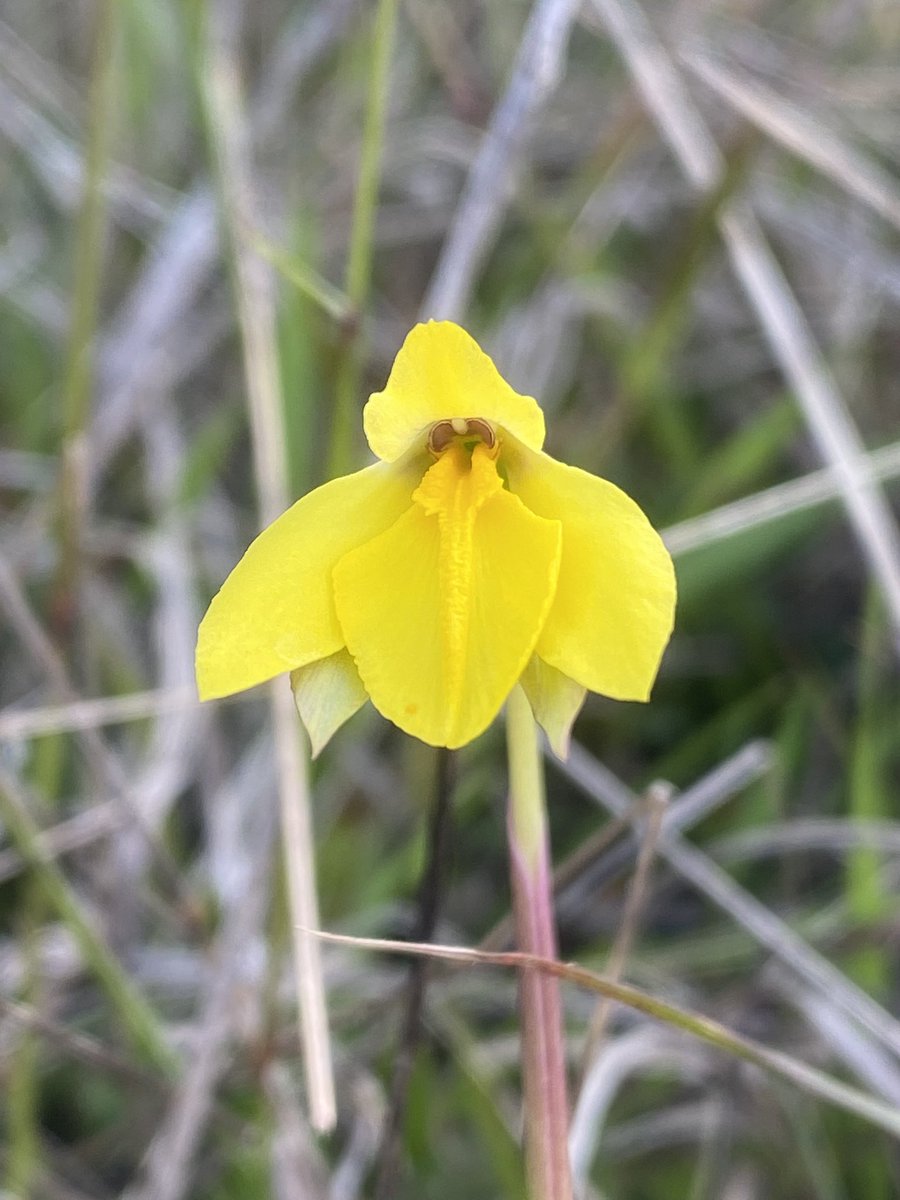 Heath Milne tweet media