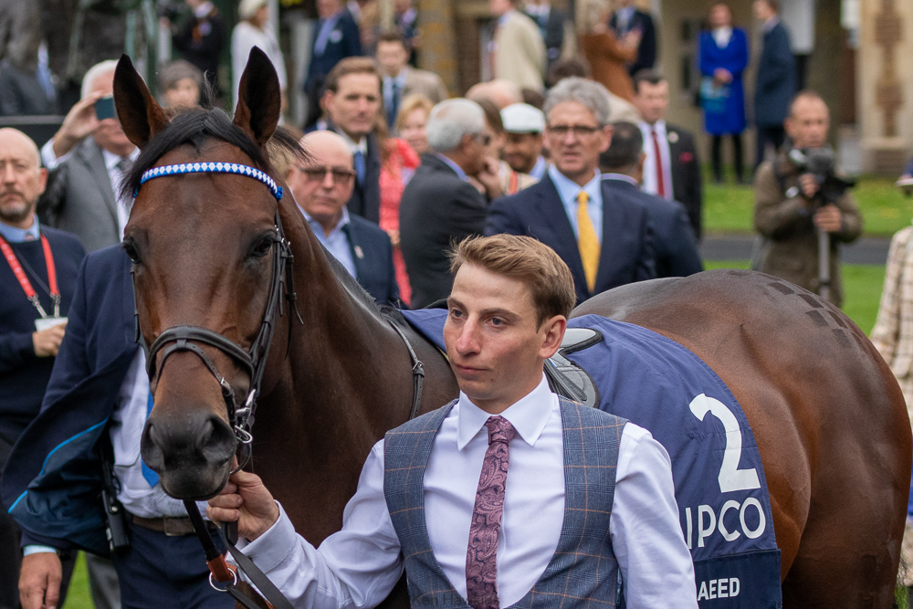 kenneth_hawkins's tweet photo. Some other pictures from today at #Ascot. #Baybridge winning #ChampionStakes, #Baeed, #Trueshan and #Kinross winning the sprint. #ChampionsDay https://t.co/cRSc4UyJCk