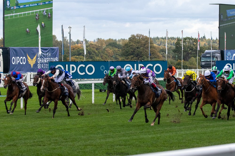 kenneth_hawkins's tweet photo. Some other pictures from today at #Ascot. #Baybridge winning #ChampionStakes, #Baeed, #Trueshan and #Kinross winning the sprint. #ChampionsDay https://t.co/cRSc4UyJCk