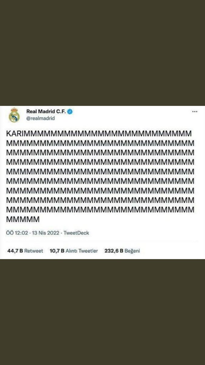 Sezz/ RABİA SOYTÜRK tribünü (@sezibrownnn) on Twitter photo 