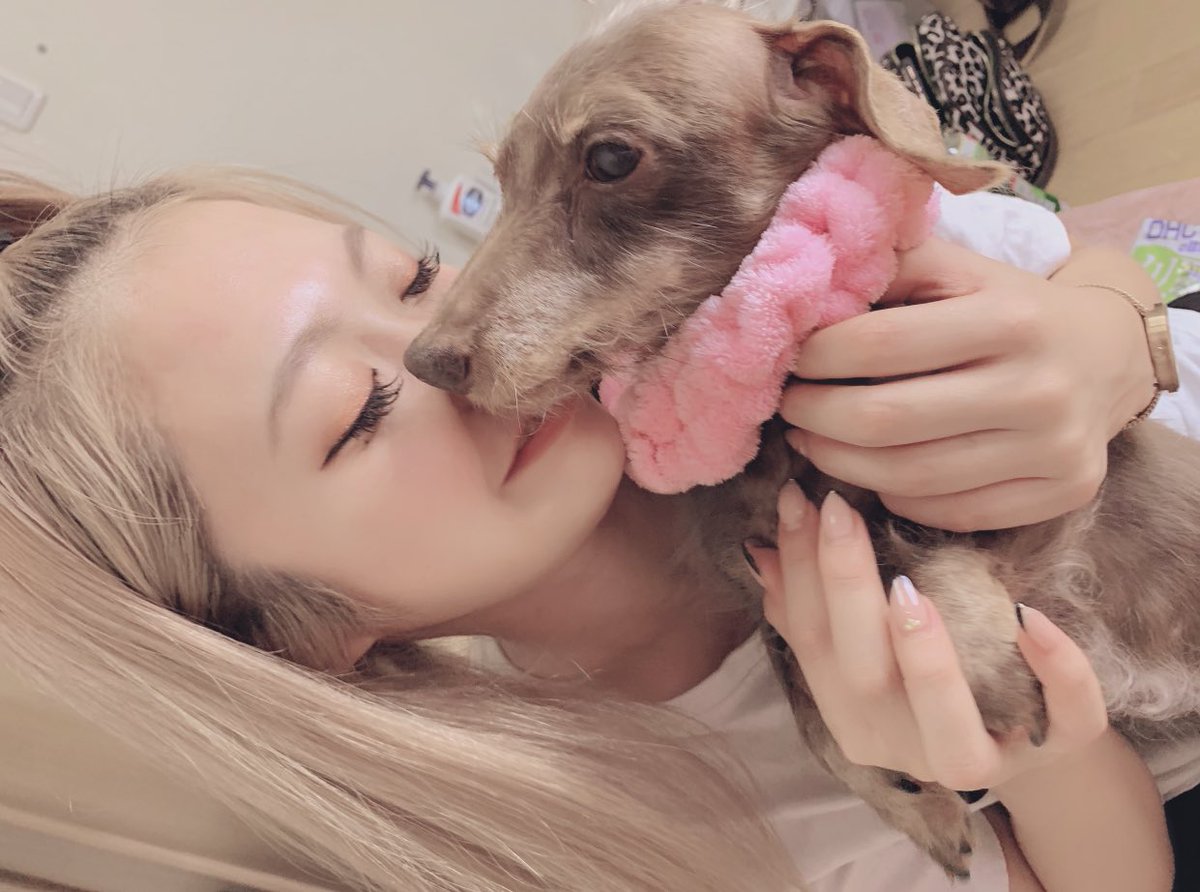 chipitan1215's tweet photo. ちなみにうちの子はみーんな保護犬です。
空にいったレタきゅんも。
ぽっちゃん。まめ。きなこ。

ほんっとーにみんな自分を人間だと勘違いしてる愛おしい弟妹たちです👶🏼♥️

#保護犬 https://t.co/zvBRFDvSSc