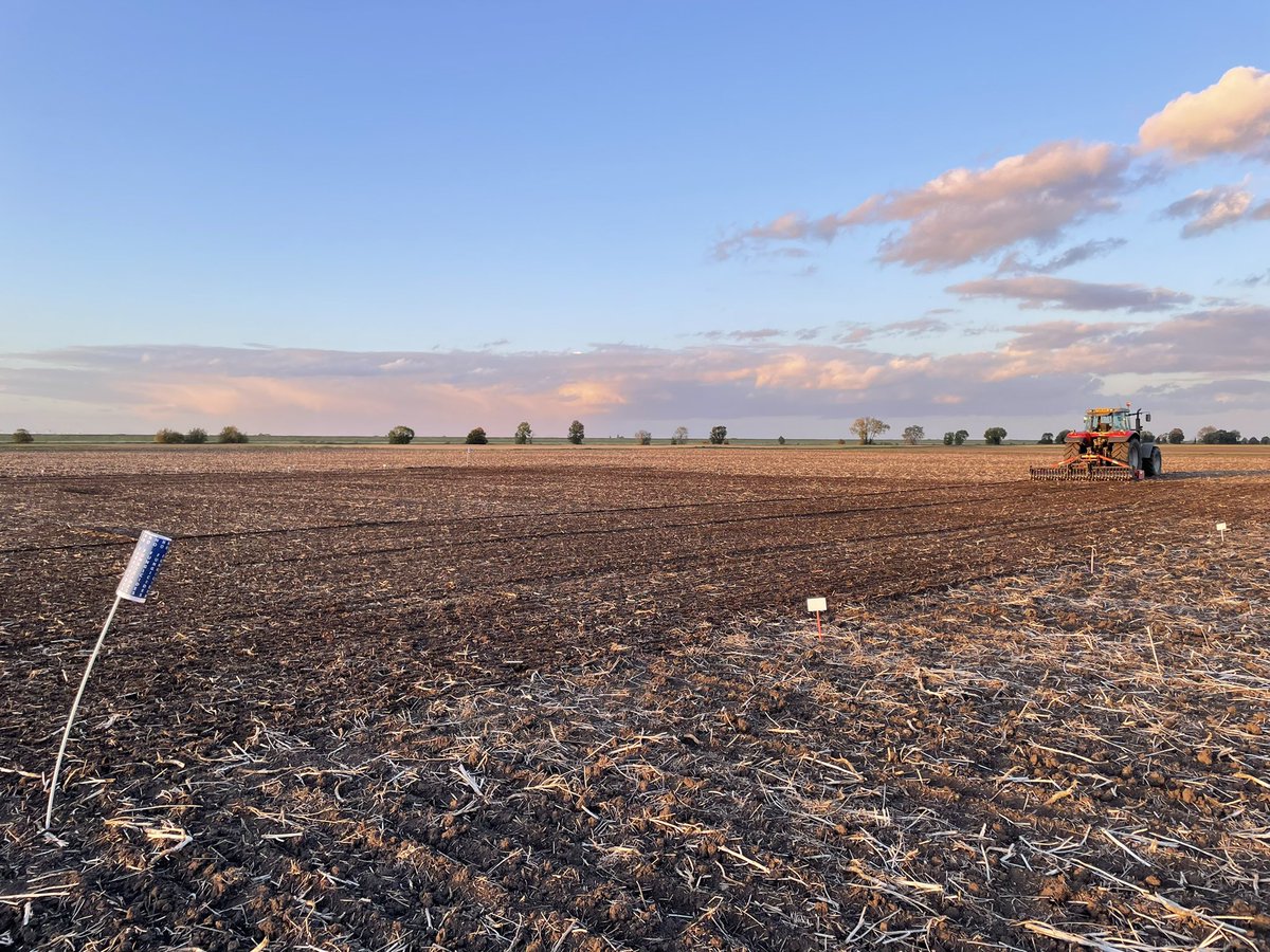TimBoor_Arable's tweet photo. Preparing the seed bed ready for the @AHDB_Cereals RL Brown rust variety trial @ADASBoxworth @ADASGroup https://t.co/Caxm3fKcNy