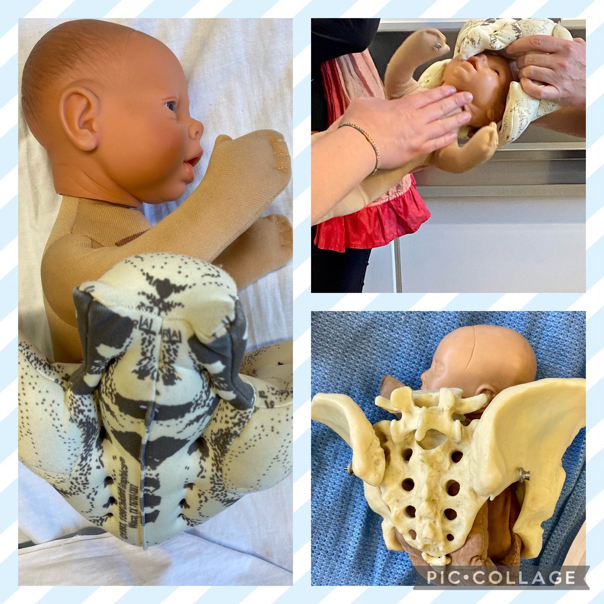 #ARUProud today to host <a href="/SisterShawnRM/">Dr Shawn Walker</a> teaching all things #breechbirth at <a href="/FHEMS_ARU/">Anglia Ruskin FHEMS</a> supporting our midwifery colleagues from the Netherlands #tumtobum #evidencebasedbirth #optibreech <a href="/ARUmidwife/">Lindsey Rose</a>