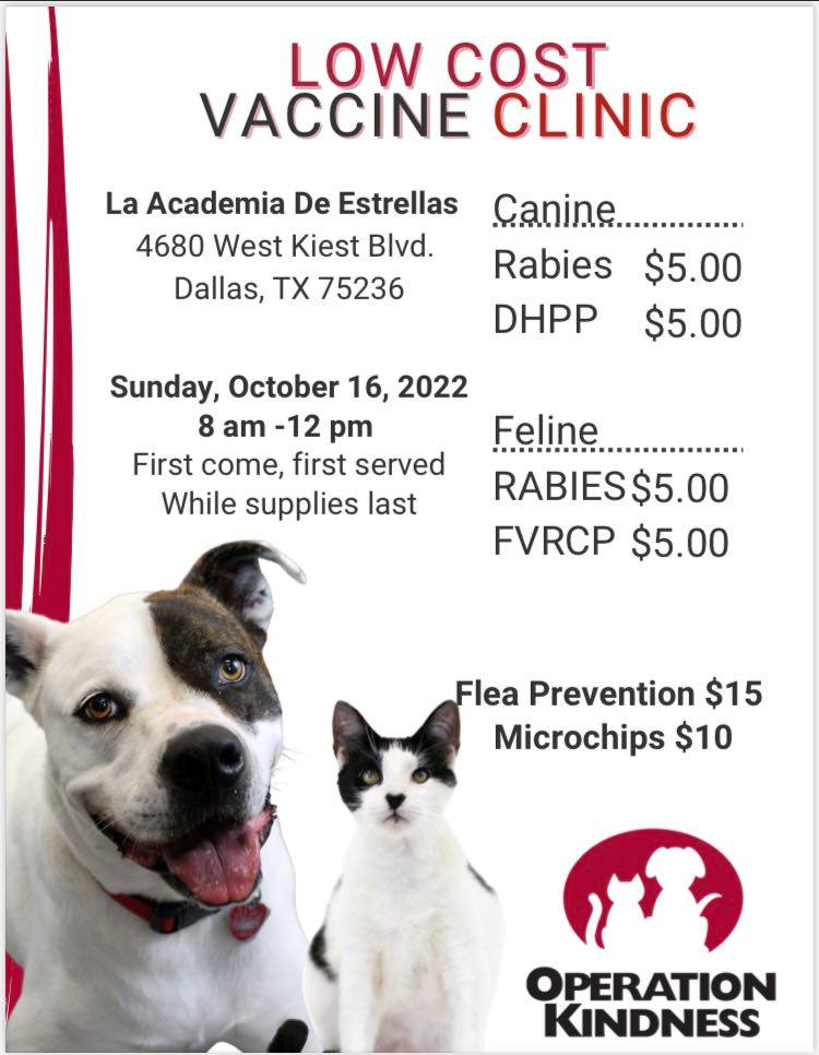 DallasShelter's tweet photo. This Sunday 10/16, get low-cost pet vaccines, flea preventatives &amp; microchips from @OpKindness at La Academia de Estrellas on Kiest Blvd. Keep your pet healthy and safe with these low, low prices! https://t.co/dfG94UVeya