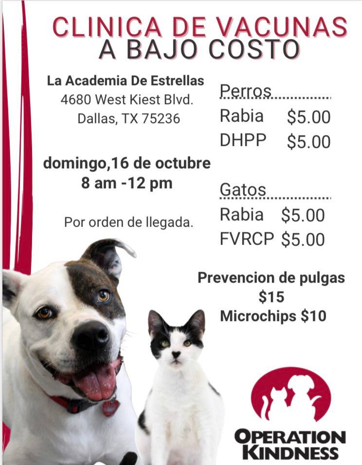 DallasShelter's tweet photo. This Sunday 10/16, get low-cost pet vaccines, flea preventatives &amp; microchips from @OpKindness at La Academia de Estrellas on Kiest Blvd. Keep your pet healthy and safe with these low, low prices! https://t.co/dfG94UVeya