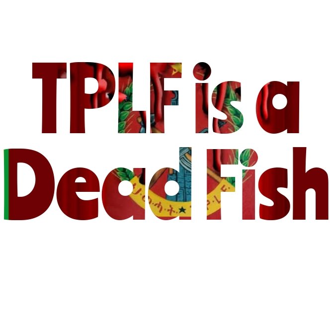 Harari_prosper's tweet photo. #TPLF መሪዎች ያላቸው የመጨረሻ እድል እጃቸውን መስጠት ብቻ ነው
The best course of action for TPLF leaders is to surrender right away and let go of the past. 
@CNNAfrica @AJEnglish 
@MikeHammerUSA @EUSR_Weber 
@JosepBorrellF #TPLFGameOver #TPLFSurrendered #DisarmTPLF https://t.co/PlRAlM4piM