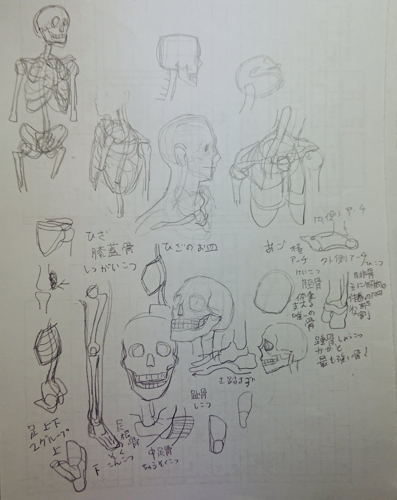 まだフワフワした所とかサイトに載ってない部分とかあるけど次は筋肉のページに突入だᕙ( ˙꒳​˙  )ᕗ

漢字が多い!!! 