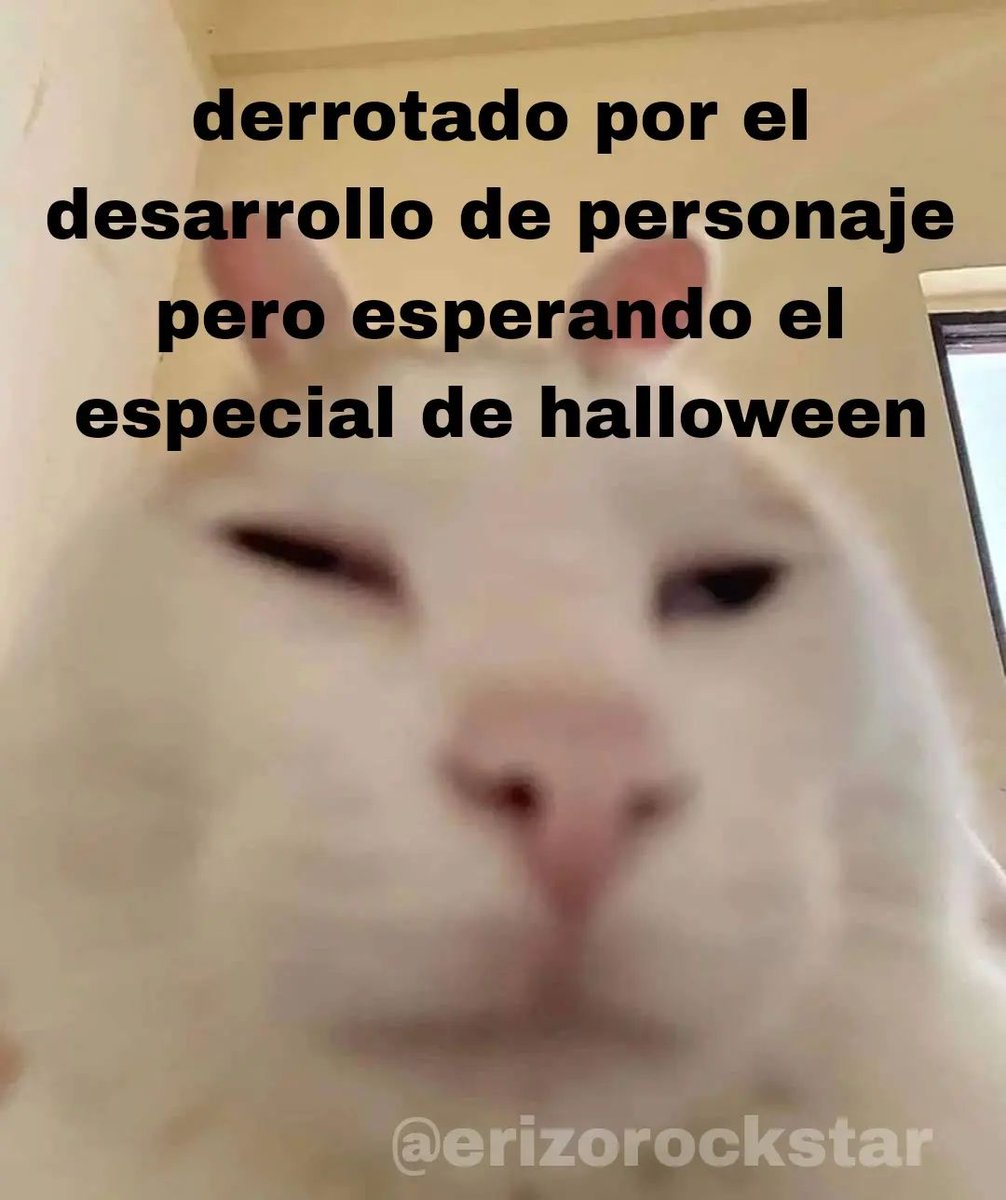 gatito_shitpost's tweet photo. https://t.co/ZBZ5hm5iOy