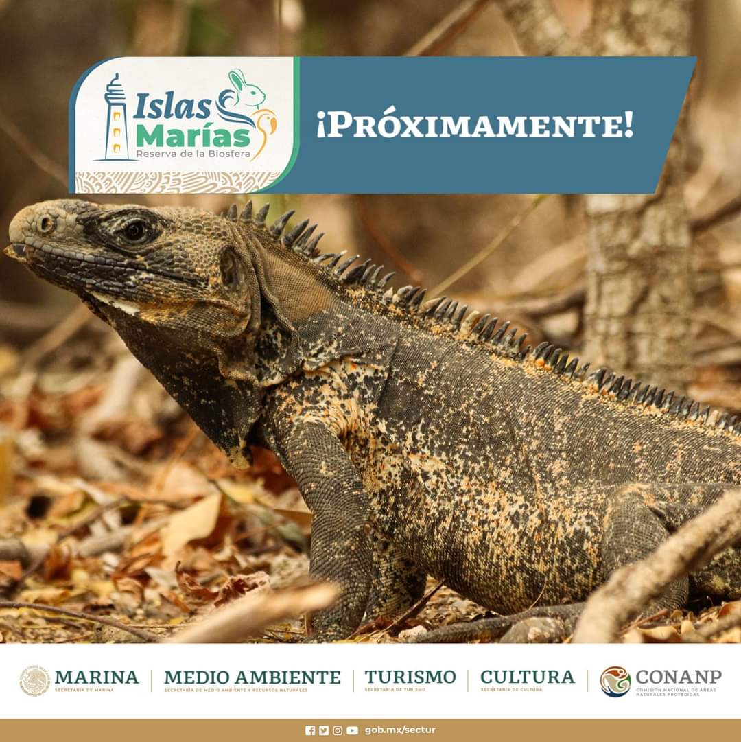 #Próximamente #IslasMarías Naturaleza, Cultura y Libertad.