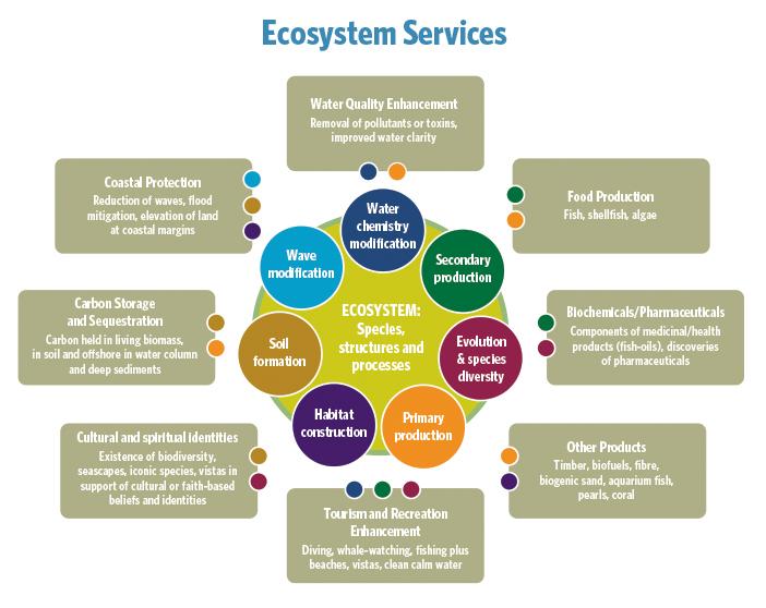 EarthtoSGen's tweet photo. Due to #humanpressure and the influences of decisions, It comes as a shock to hear that over two-thirds of the #natureservices to humans are in decline on a global scale. The good news is that the #currentgeneration is capable of solving that problem.@UNBiodiversity, @IUCN https://t.co/AQHtN49wKK