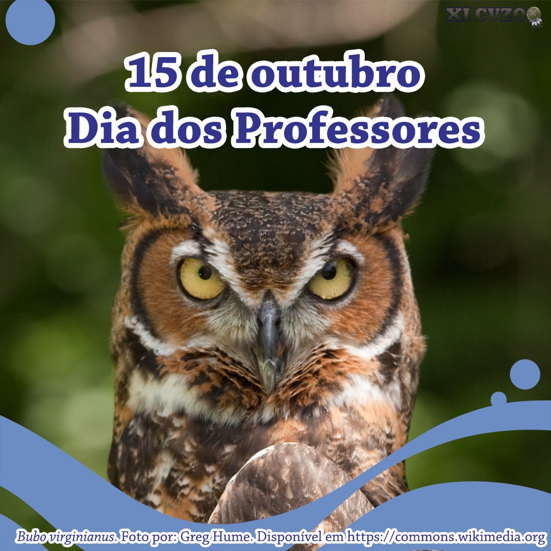 CVZooUSP's tweet photo. Você sabia que a coruja é o animal que representa o professor? Isso porque a coruja é considerada o símbolo da sabedoria. A explicação para essa associação da coruja com a inteligência vem desde a mitologia grega, onde este animal era mascote da deusa Atena [+]

#diadoprofessor https://t.co/4fdED8tpg4